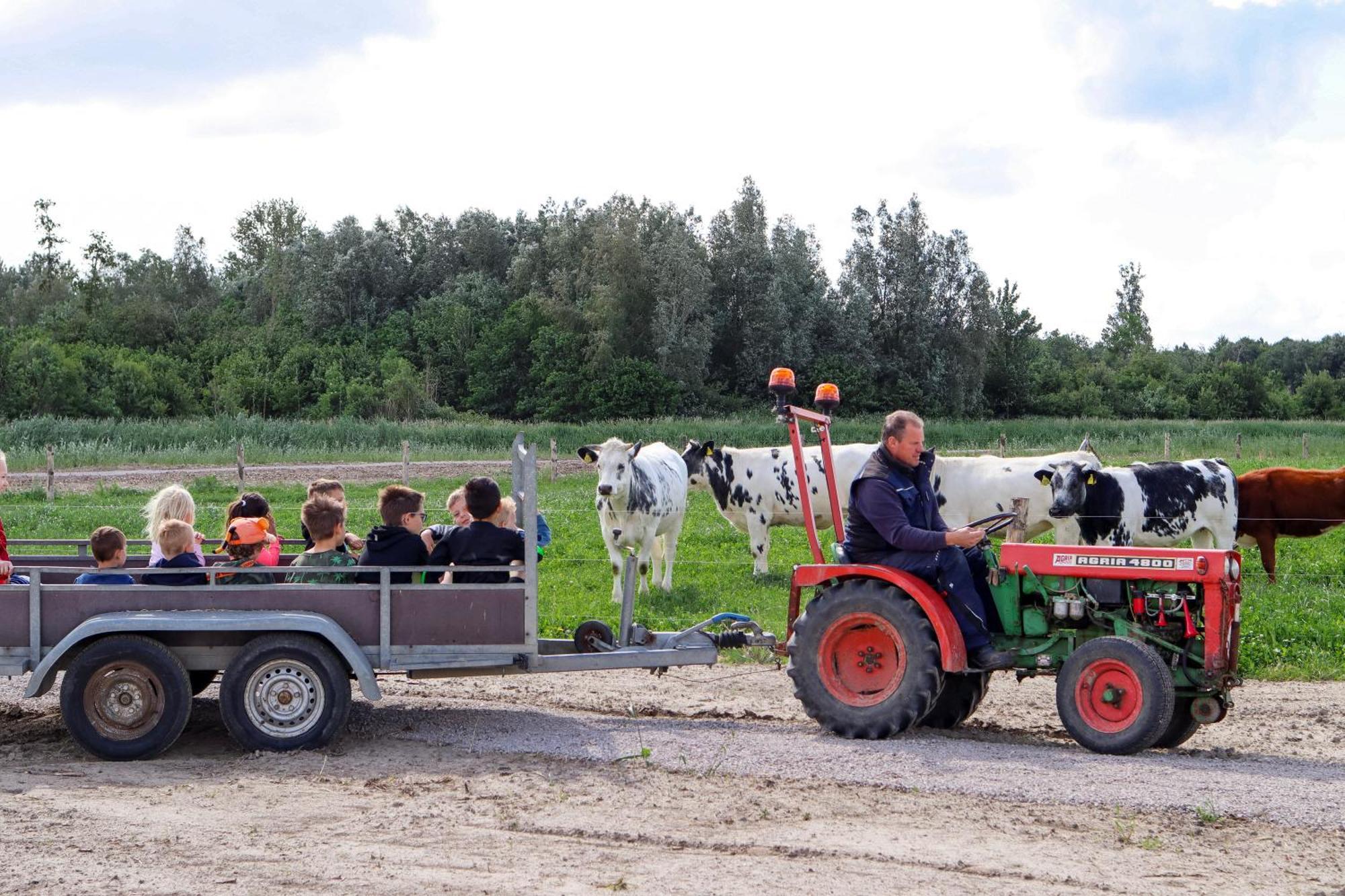 Boerderijcamping De Hinde Dronten Eksteriør billede